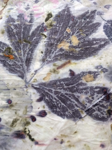 Eco Print | Dyeing & Surface Design