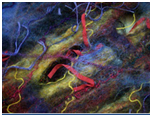 Mixed Media Felted Scarf