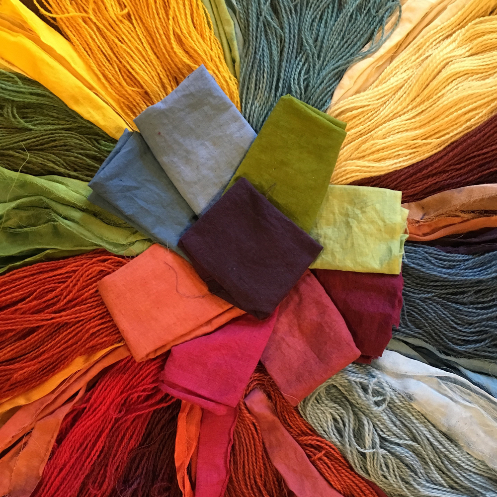 Eugene Textile Center Shop Our Online Store Natural Dyes eugene-textile-center-shop-our-online-store-natural-dyes