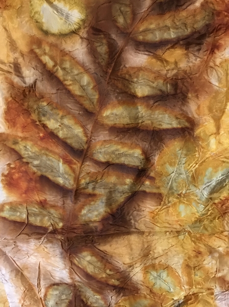 Eco Print | May 2023