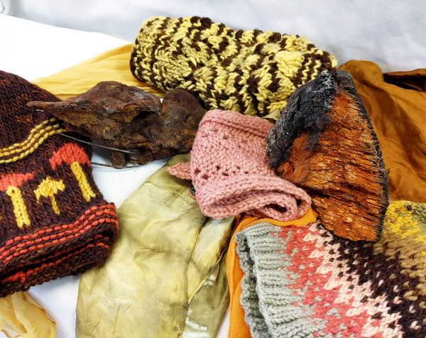 Mushroom Dyeing | November 2025