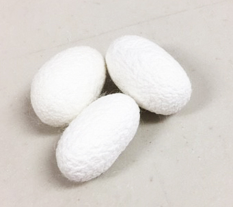 Bombyx Silk Cocoons - Pkg. of 9 | Silk