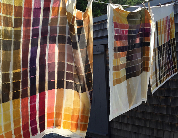 ​Natural Dyes: Hand-Painting a Color Library | Dyeing & Surface Design