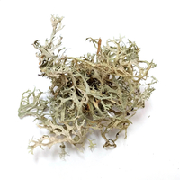 Image Lichen: Evernia prunastri - 2 oz