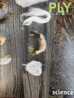 Image PLY - Spring 2023