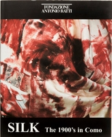 Image Silk: The 1900's in Como (used)